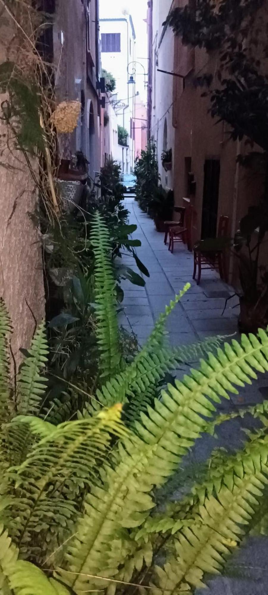 Casa Vacanze Nel Cuore Di كالياري المظهر الخارجي الصورة